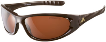 Adidas : Koltari Shiny Dark Chocolate LST Contrast Zonnebril 