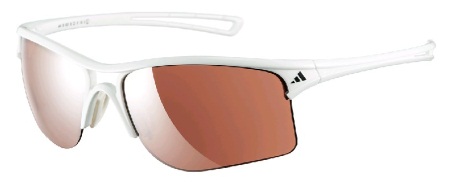 Adidas : Raylor L Shiny White/LST Active Silver Zonnebril 