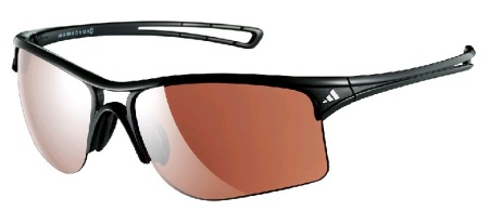 picture Raylor S Shiny Black/LST Active Silver Zonnebril