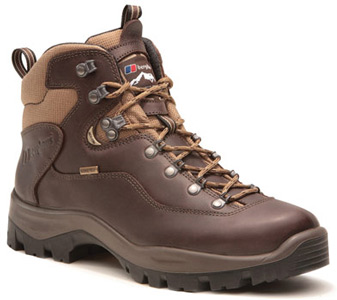 Explorer Ridge GTX Brown Heren Wandelschoen