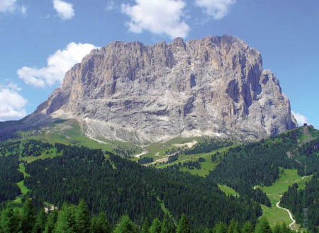 picture Real Axiom Sella Ronda DVD