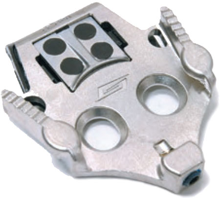 Frog Schoenplaten