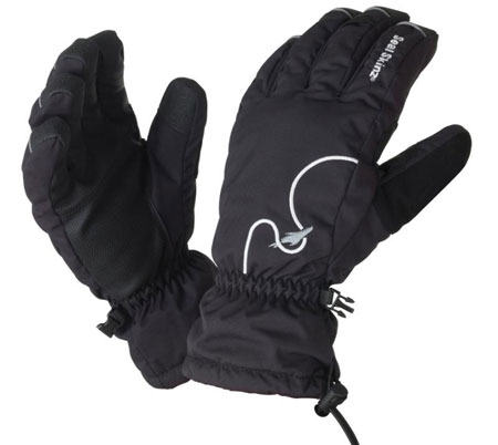 Ski Glove Zwart