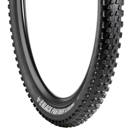 picture Black Panther Xtreme Tubeless Ready Vouwband