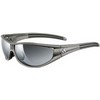Adidas : Evil Eye S Matt Silver Grey Silver Zonnebril