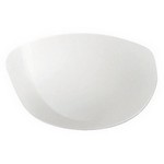 Lens Transparant Terrex Fast a393