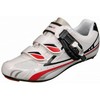 Apiro Raceschoen Heren Wit