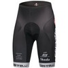 Castelli : Cervelo Training Short