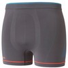 Evolution Light Trend Boxer Heren Grijs/Blauw