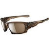 Oakley : Ten Brown Smoke w/Tungsten Irid Plrzd Zonnebril