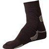 Sealskinz : Thin Ankle Length Sock Zwart