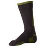 Sealskinz : Walking Sock Zwart