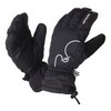 Ski Glove Zwart