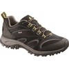 Phoenix Sport Gore-Tex Black Heren Wandelschoen