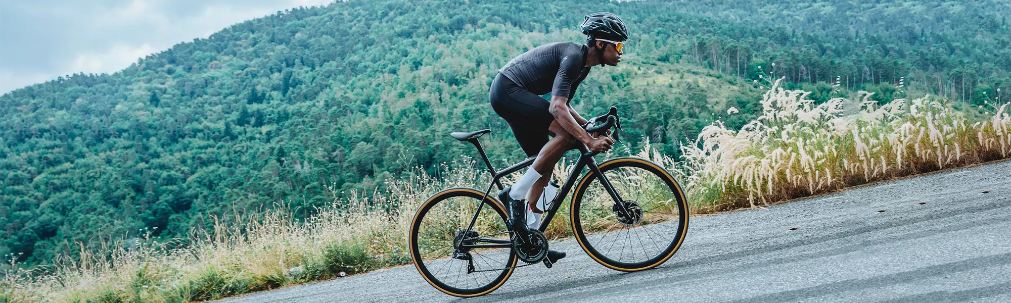 Specialized