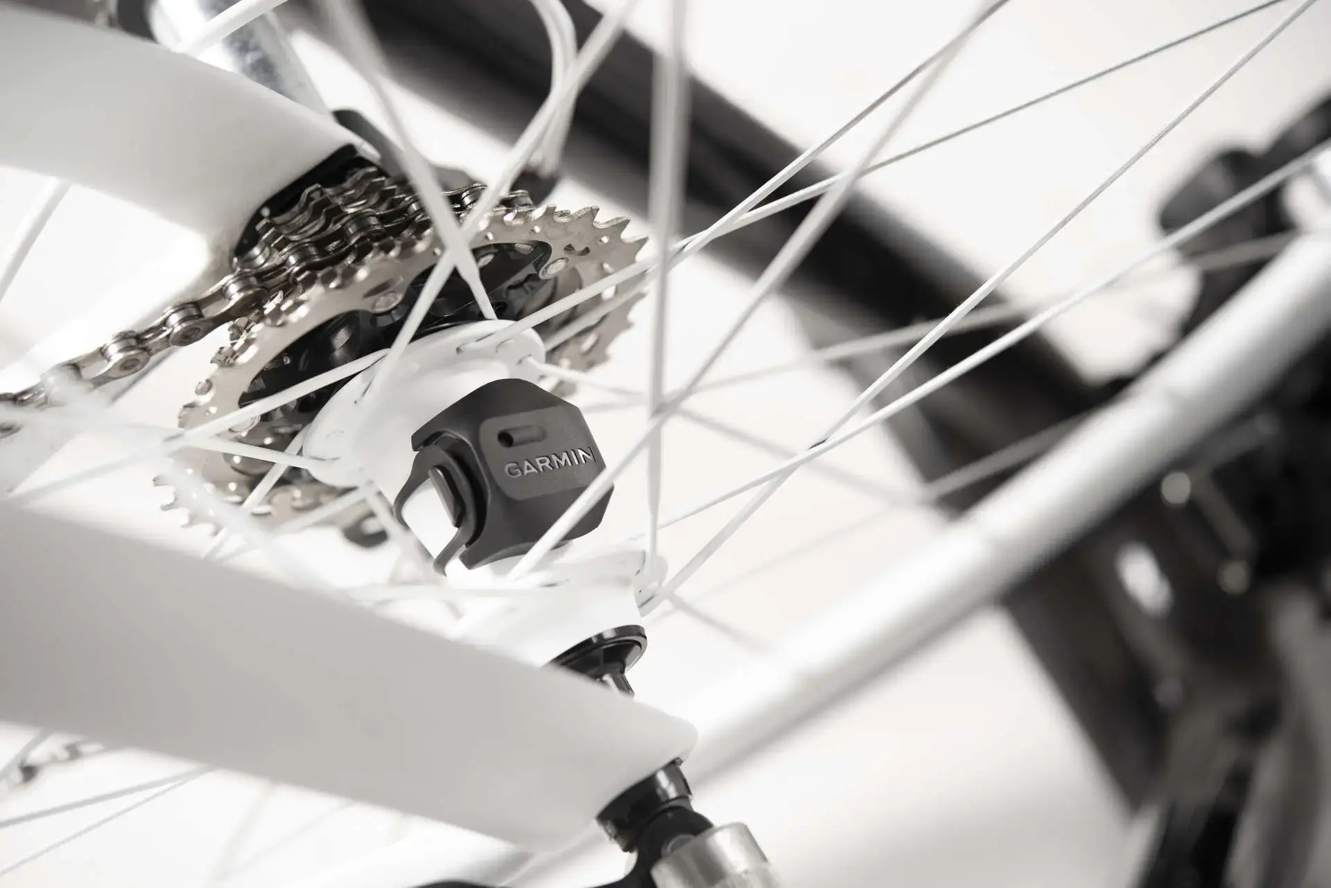 Kanon Mislukking Dank u voor uw hulp Garmin Snelheidssensor 2 & Cadanssensor 2 koop je bij Futurumshop.nl Kanon Mislukking Dank u voor uw hulp Garmin Snelheidssensor 2 & Cadanssensor 2 koop je bij Futurumshop.nl