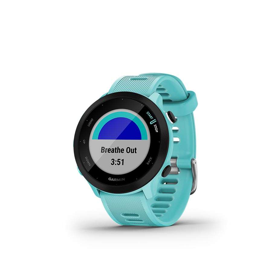 Garmin Forerunner 55 GPS Sporthorloge Blauw