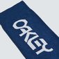 Oakley Factory Pilot MTB Fietssokken Blauw