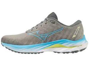 Mizuno wave rider 19 heren hotsell