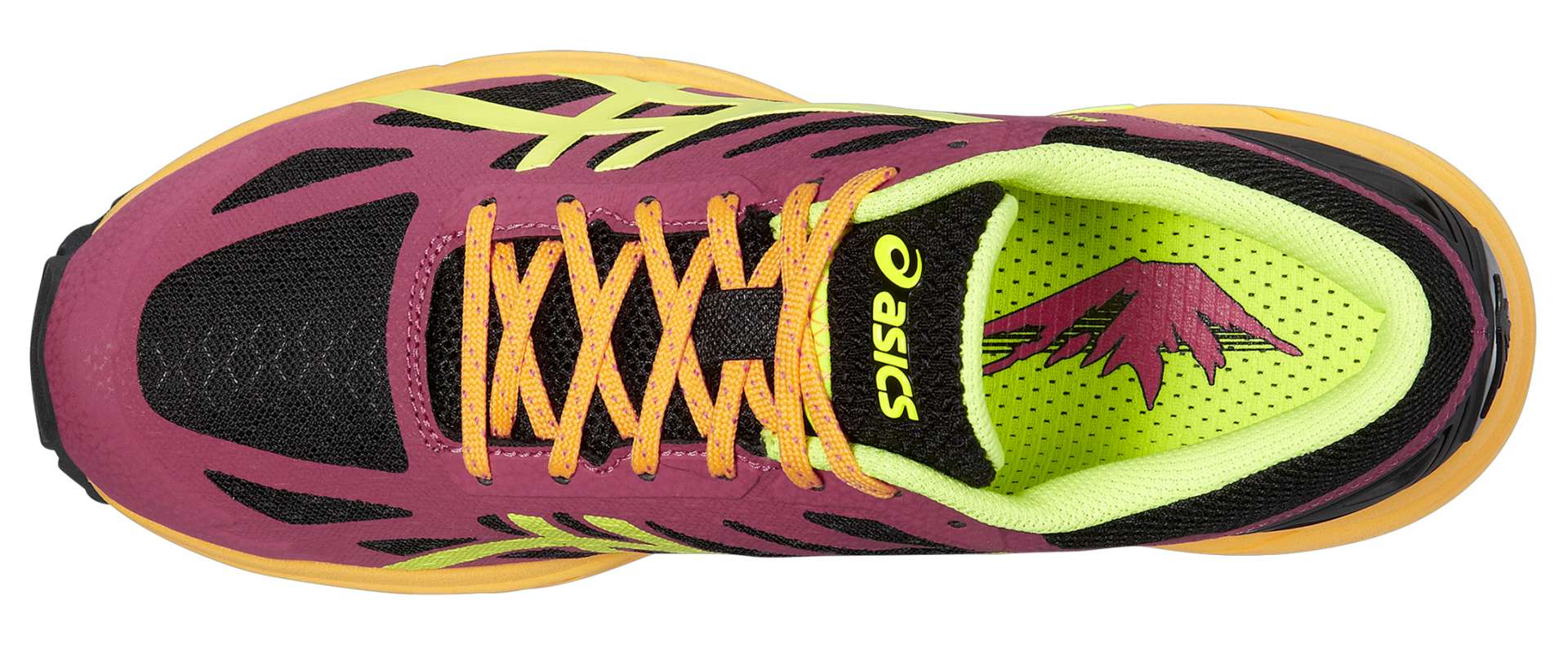 asics gel fujipro