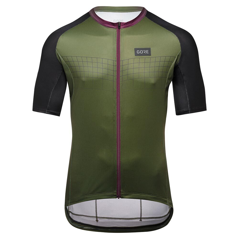 GORE Wear Grid Fade 2.0 Fietsshirt Korte Mouwen Groen Heren