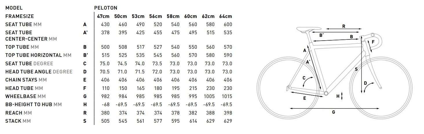 Cube peloton size outlet chart